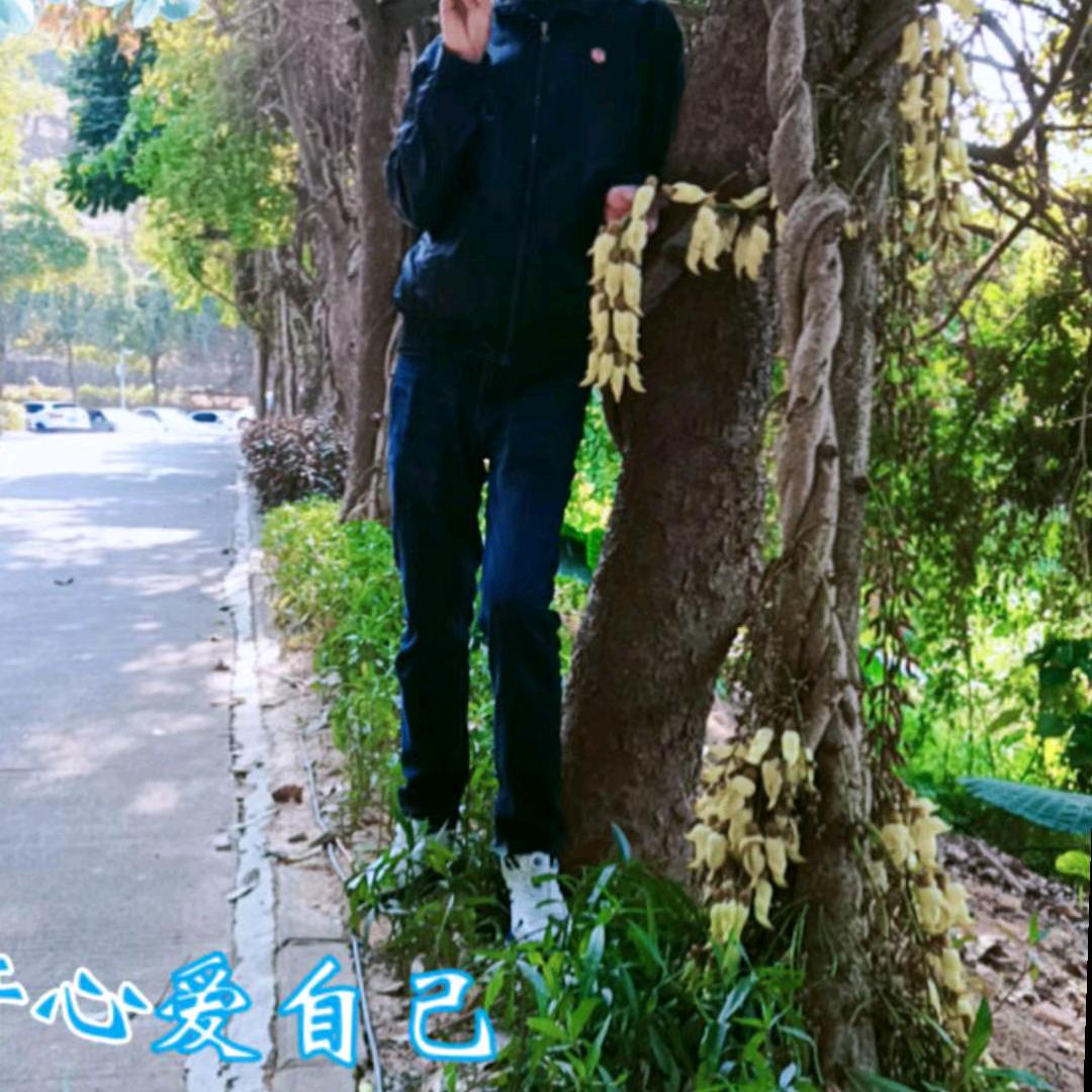 君临天下