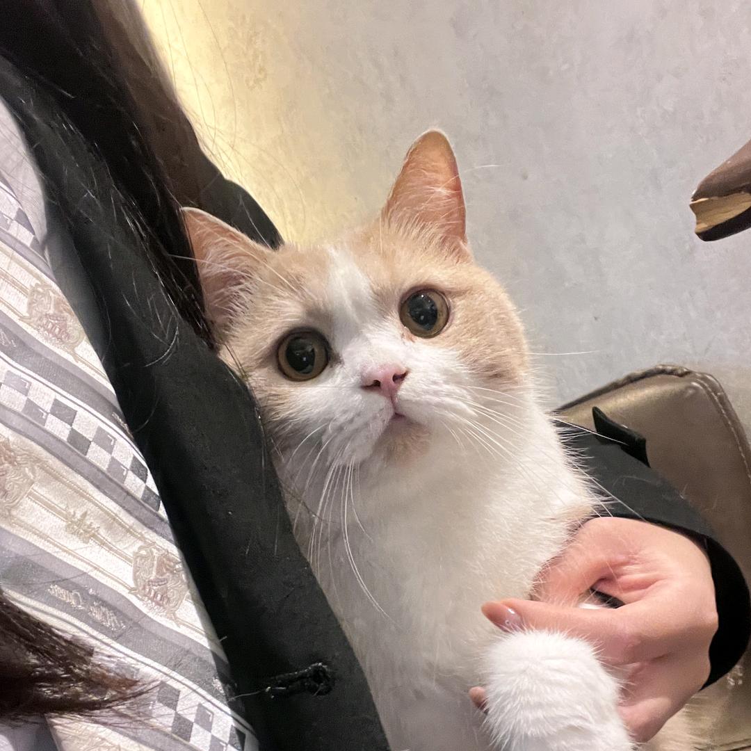 诗婷