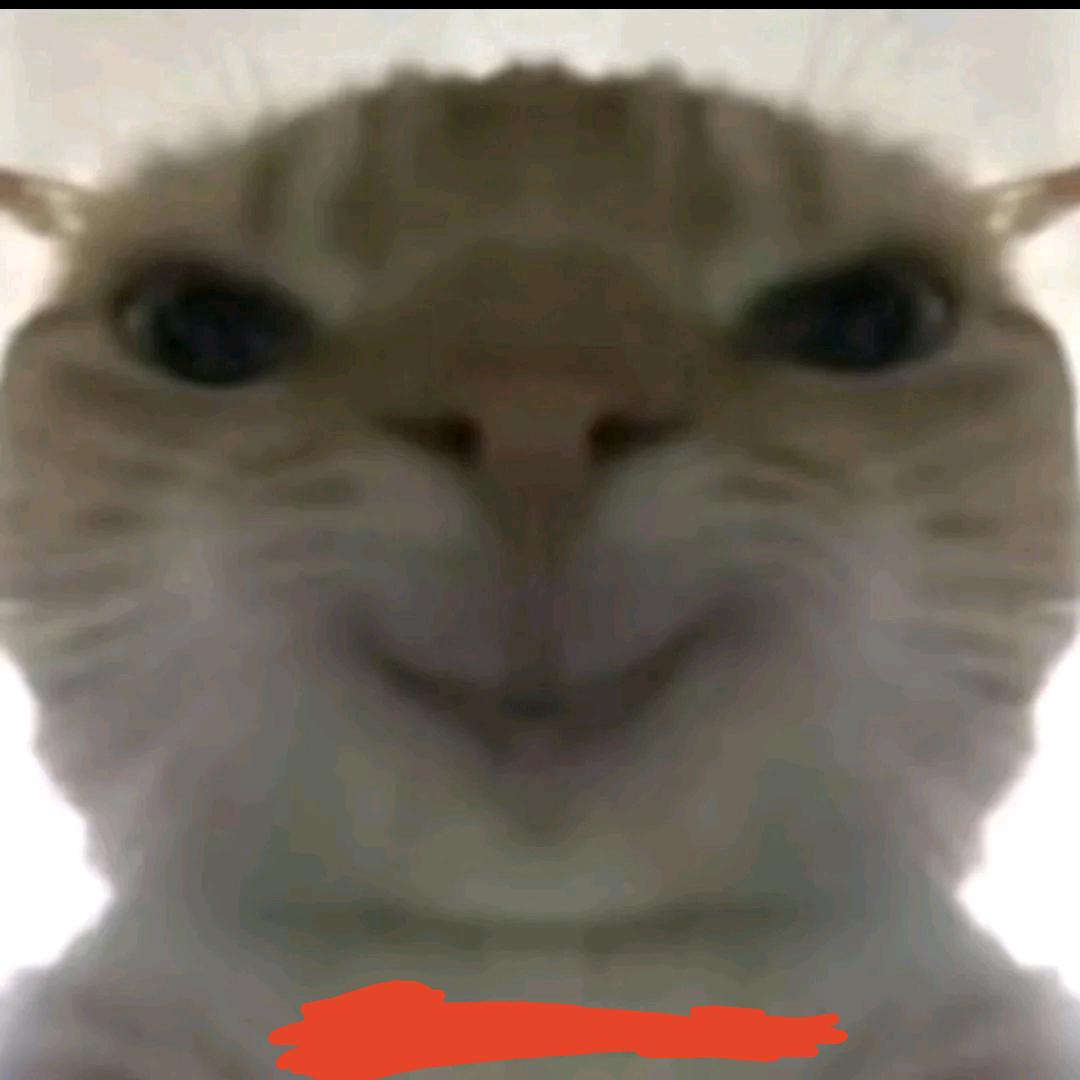 候鸟