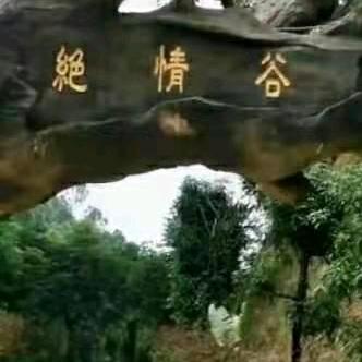 落霞晚情