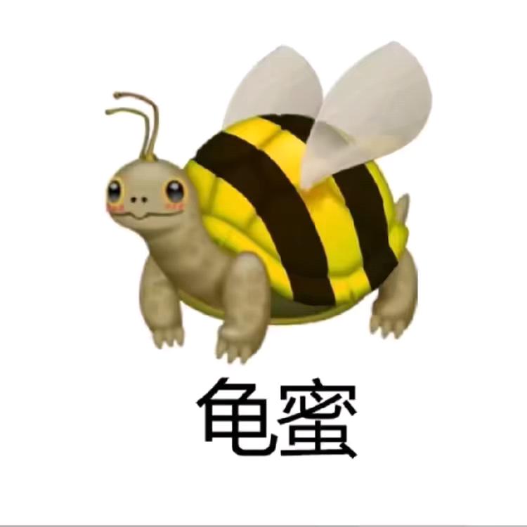 《橙》~【九妹】