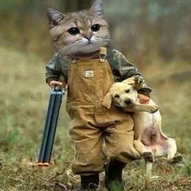 奥特曼打小怪兽😈