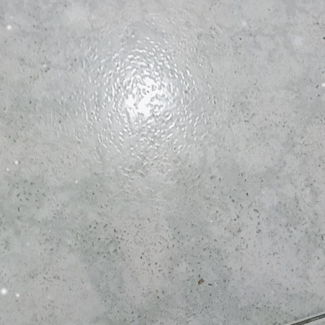 星姐⭐️⭐️⭐️⭐️⭐️