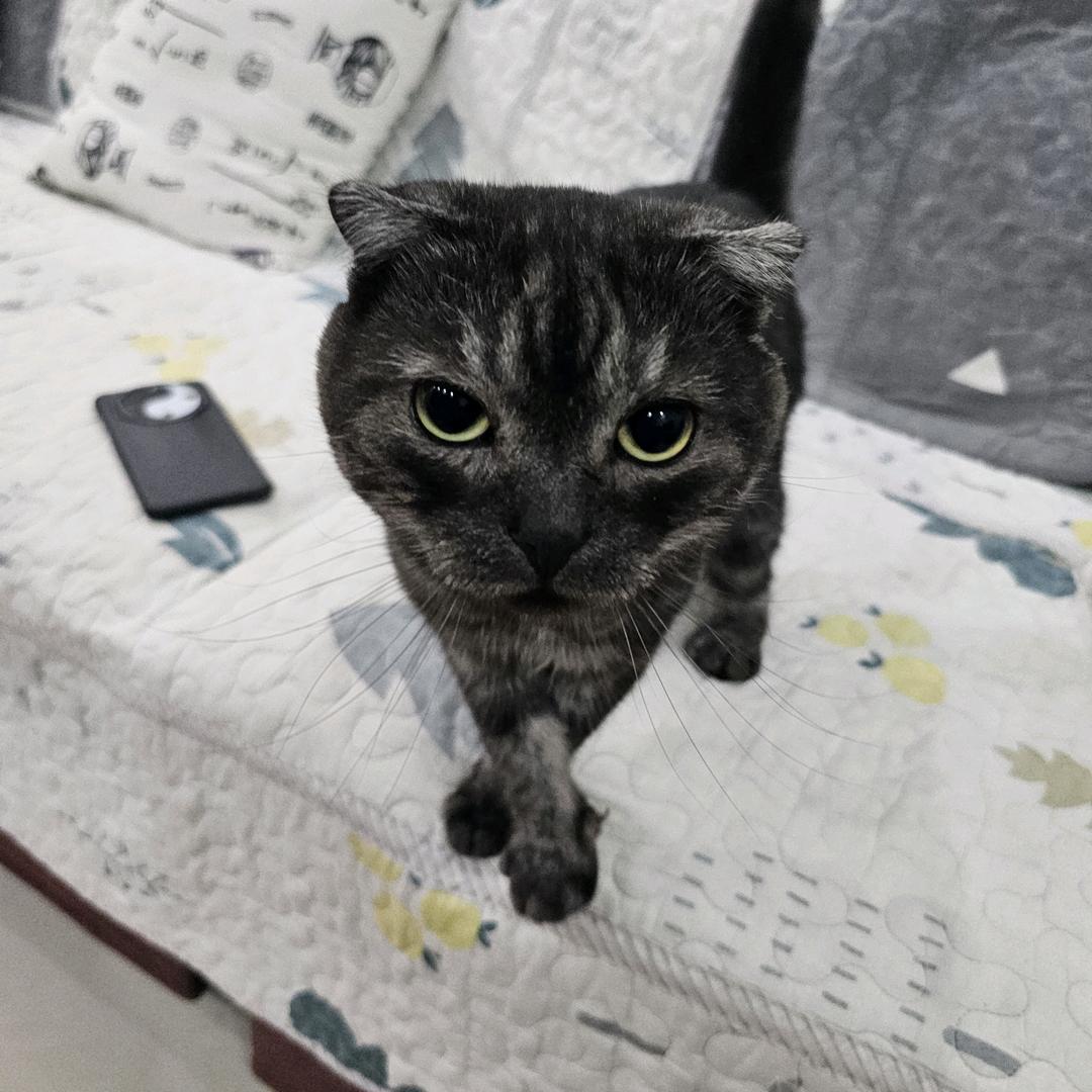 大米粒儿  (好物购)