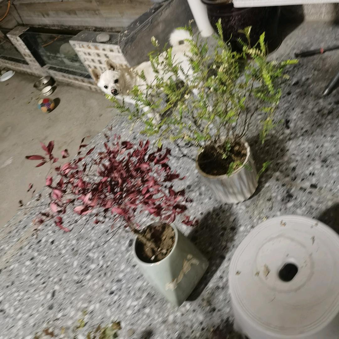 今天又在路上
