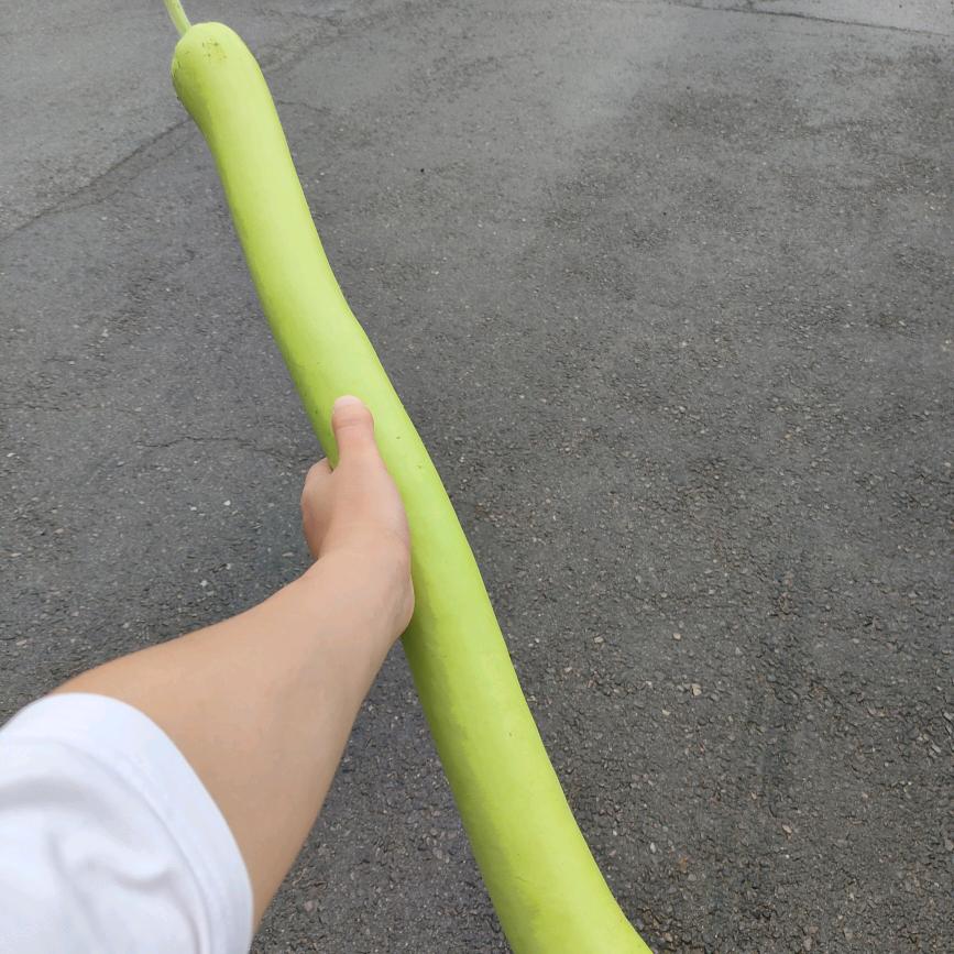 @嘻嘻嘿嘿(〃'▽'〃)
