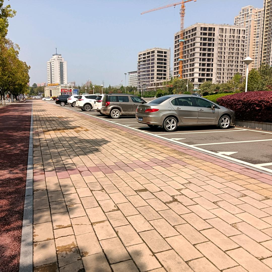 独自饮九
