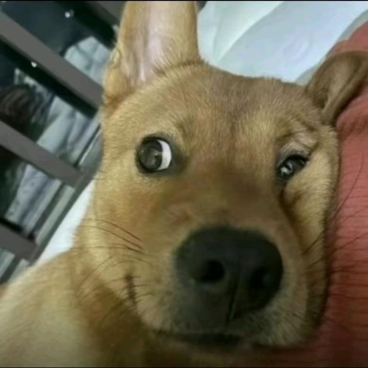 快乐每一天