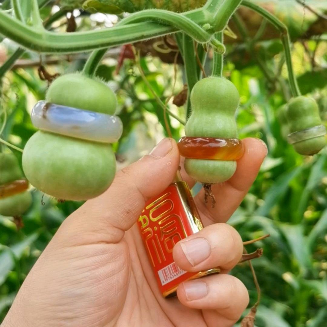 葫芦娃888🔥🔥🔥🔥🔥🔥🔥