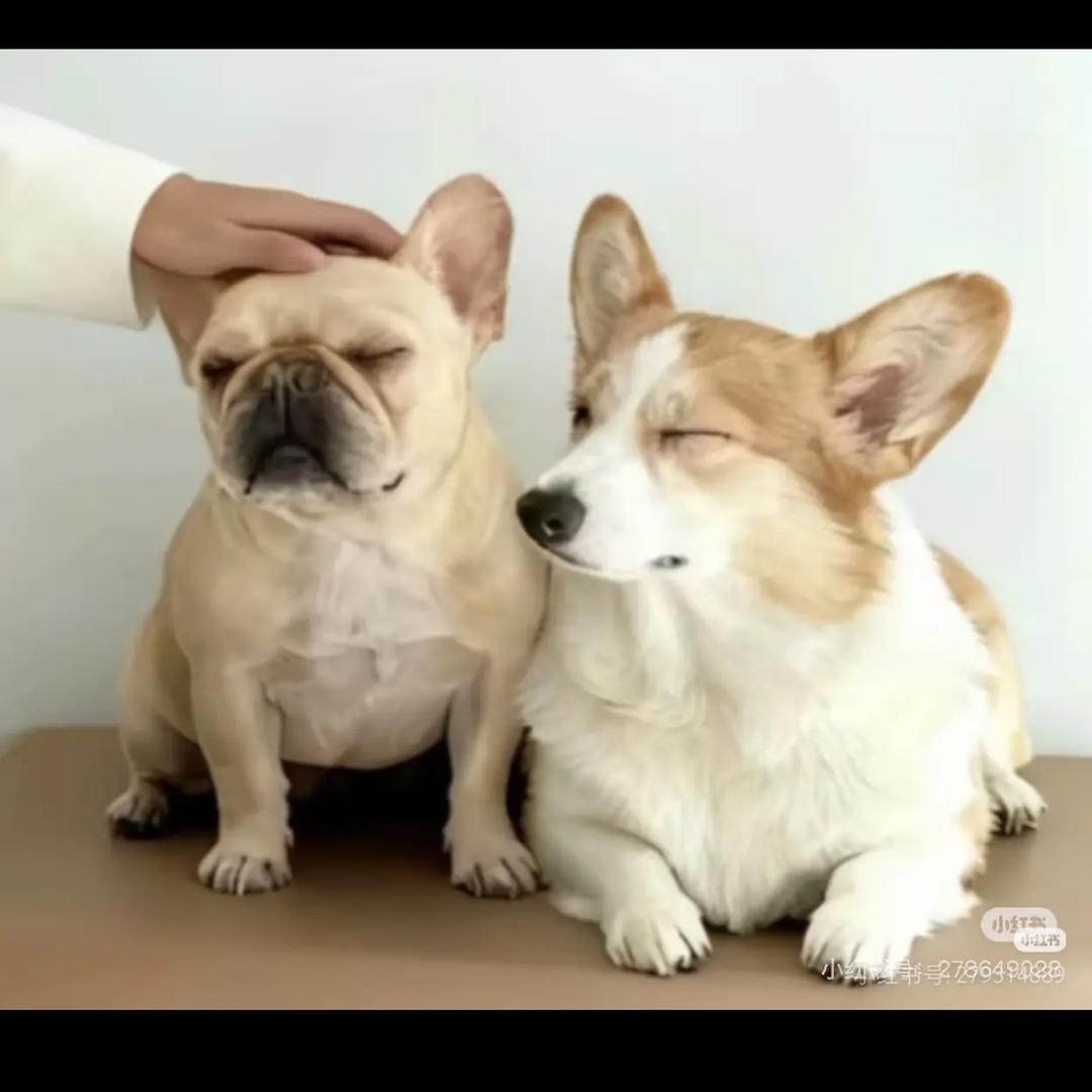 转身就是一辈子🍋🍋