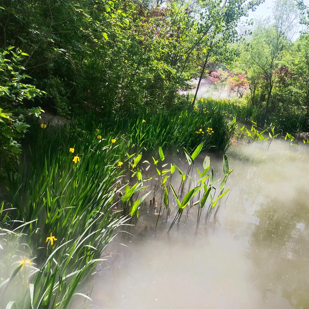 ʰᵉˡˡᵒ𝙠𝙞𝙩𝙩𝙮.