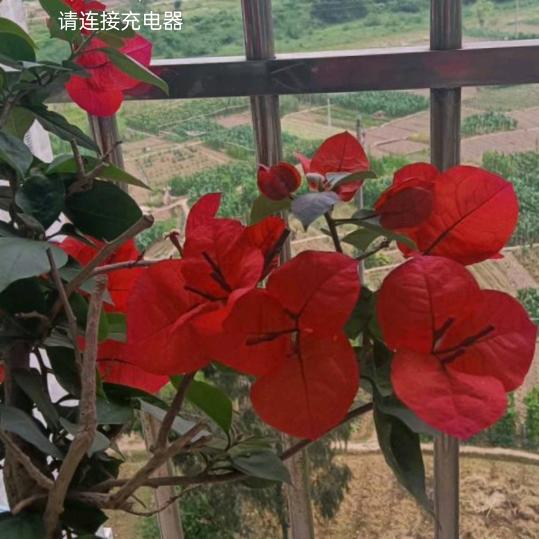 隔壁老谢