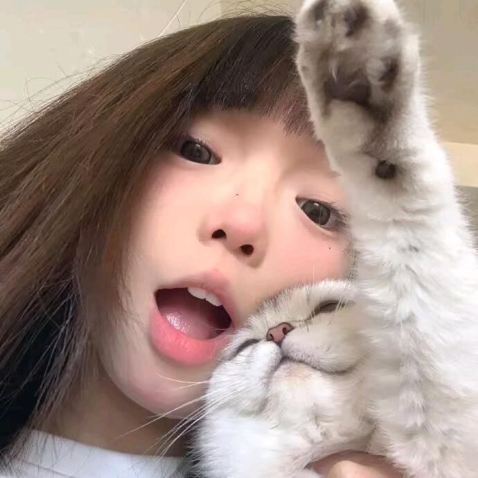 年念念