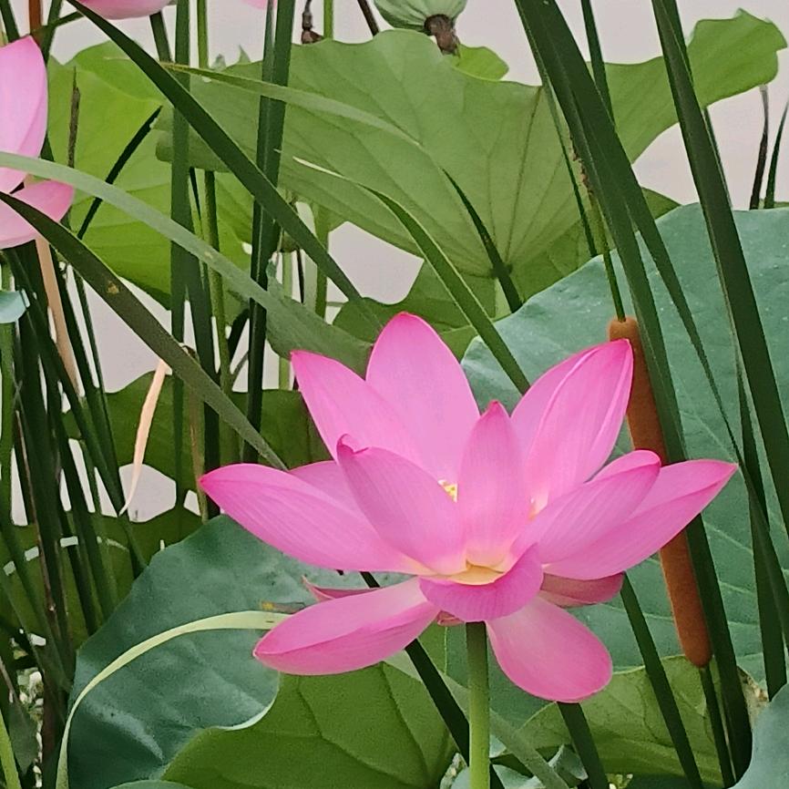 蓝天♥白云(徐)