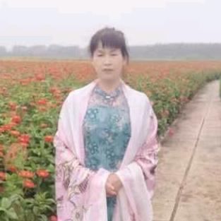 倾城回眸.