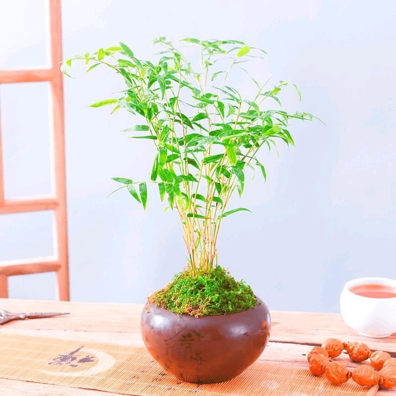 湘婷优品甄选
