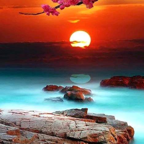 证书兼职学历提升