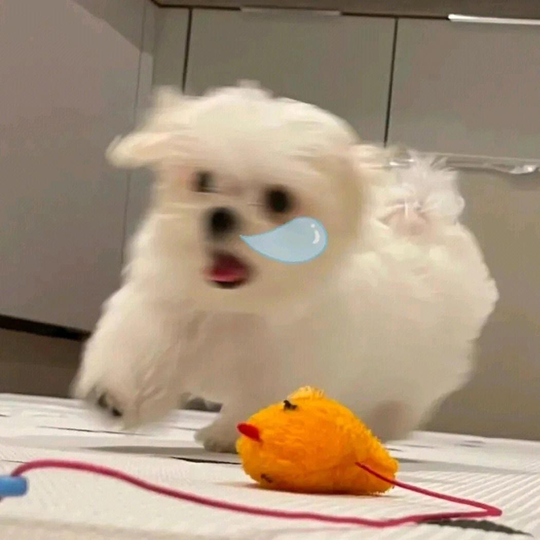 今天也绝不熬夜