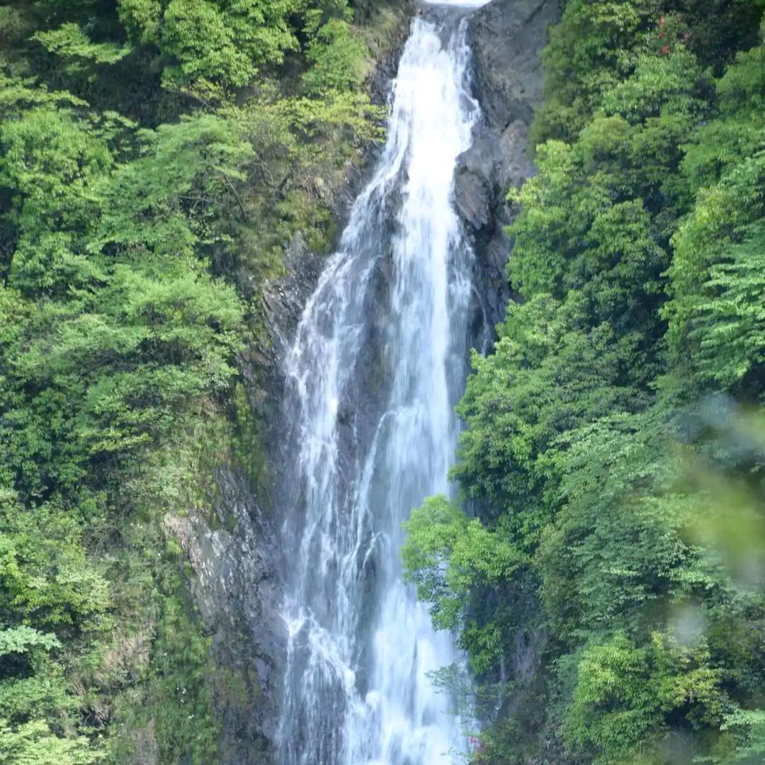 高山流水