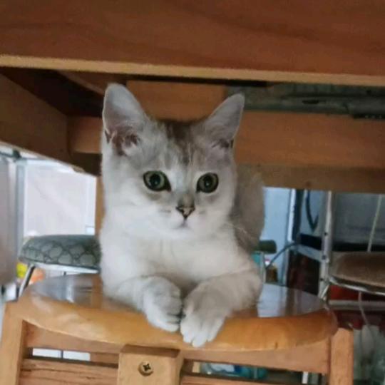 人生没有回头路