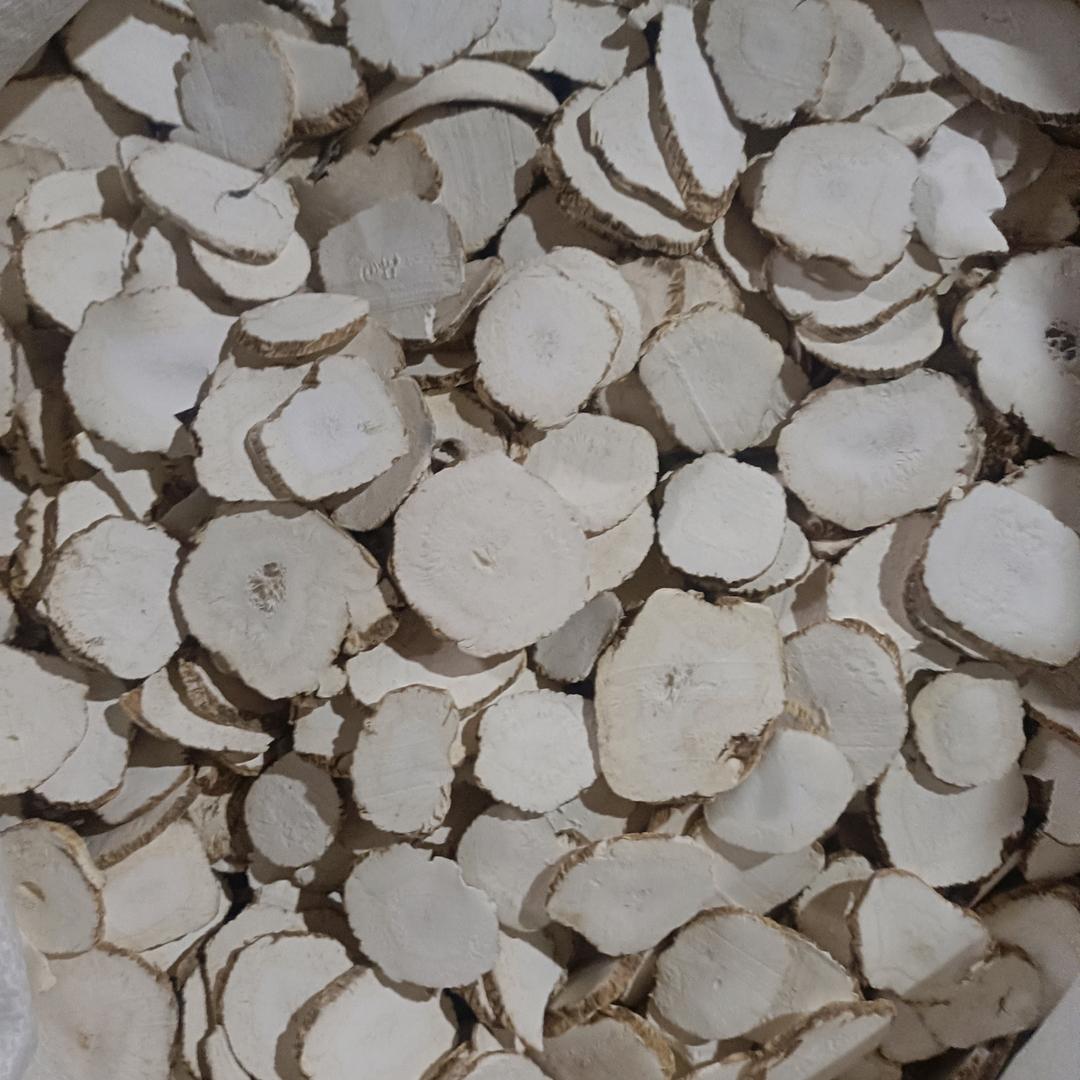 白芷经营