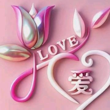 爱你不后悔