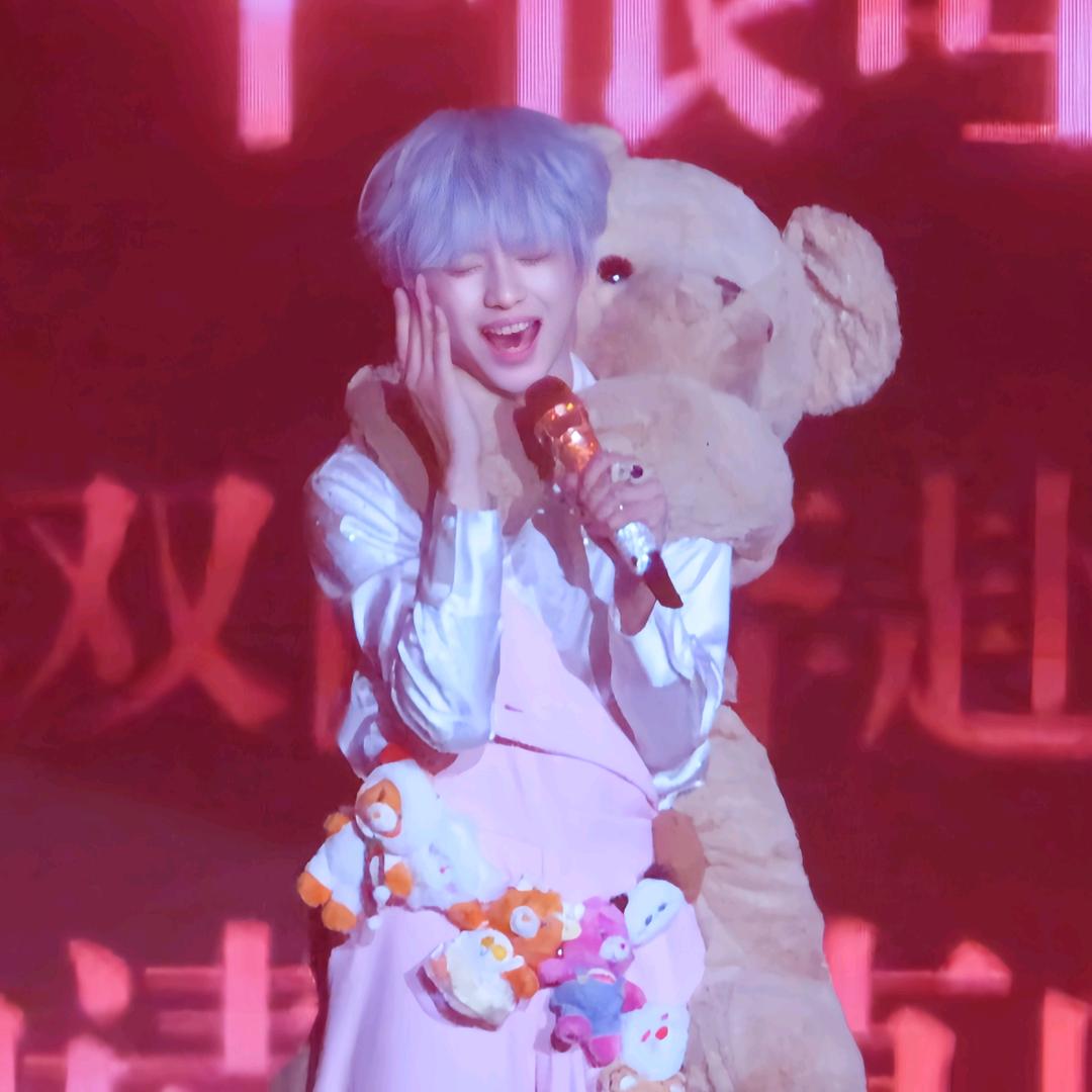 🛝滑滑梯🍍（见面17次上大屏版