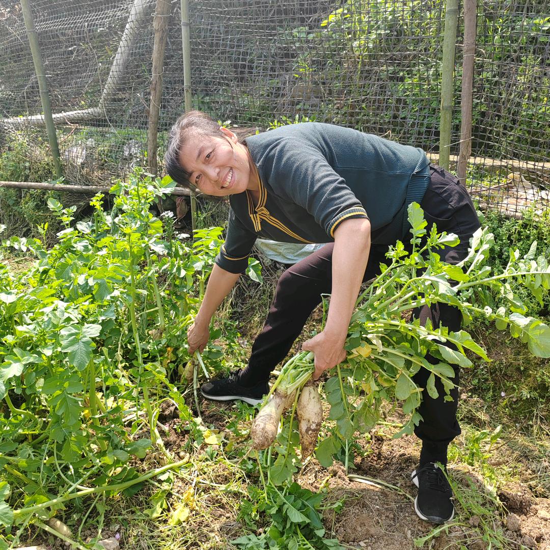 吴大妈的农村生活