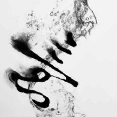 俊森果蔬
