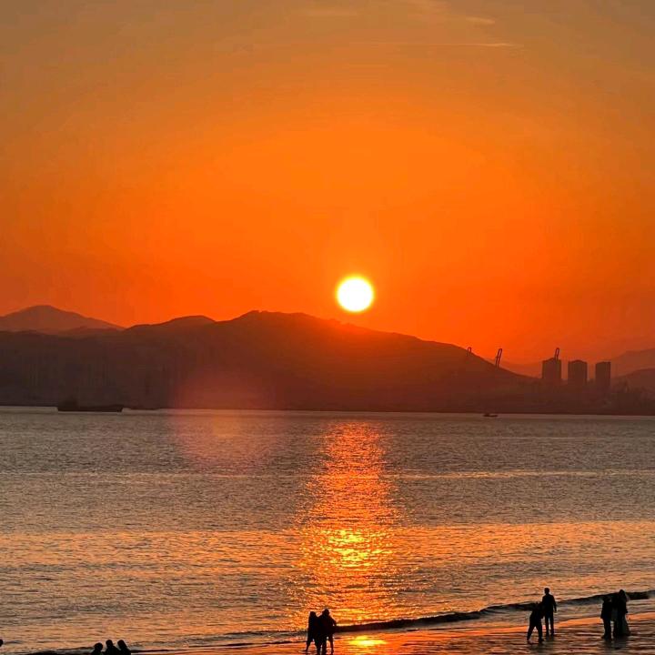半夏的柔