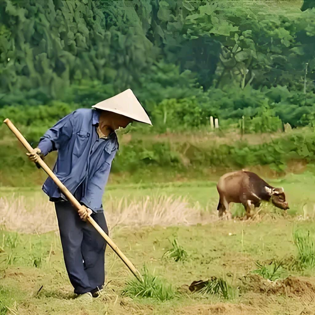 草农