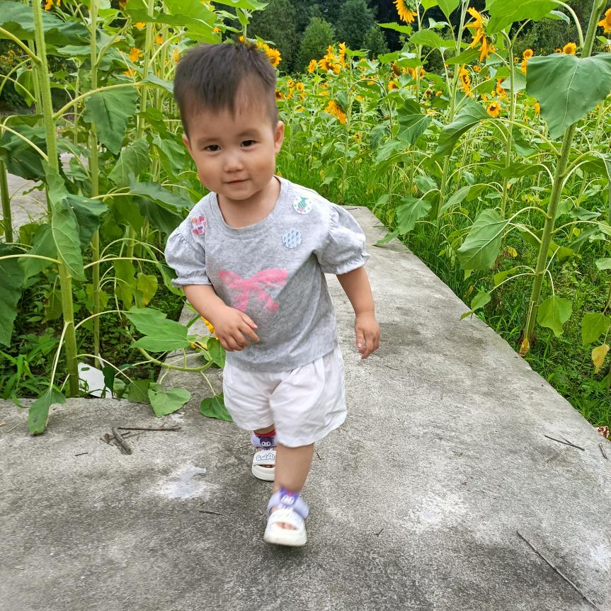 我是开心每一天