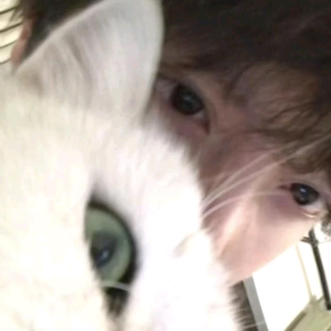 十八岁低调少爷