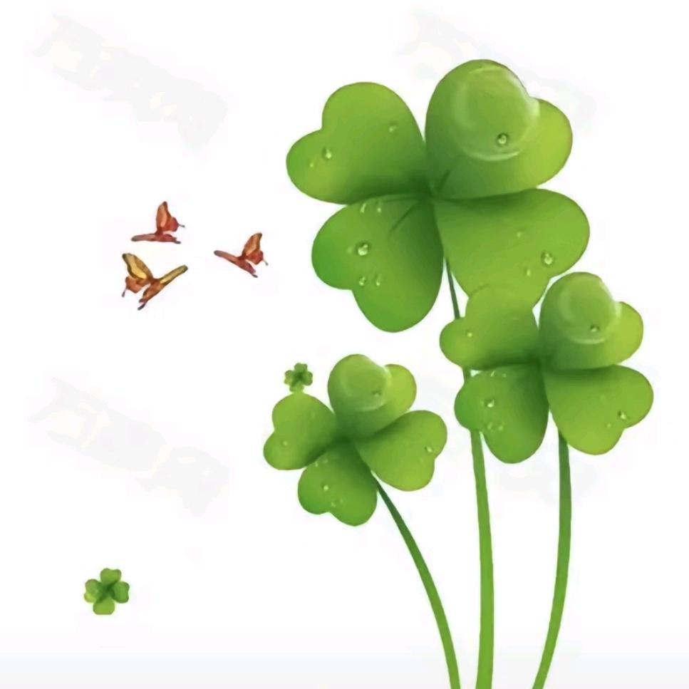 💰༣多财多福ꦿ࿐🍀