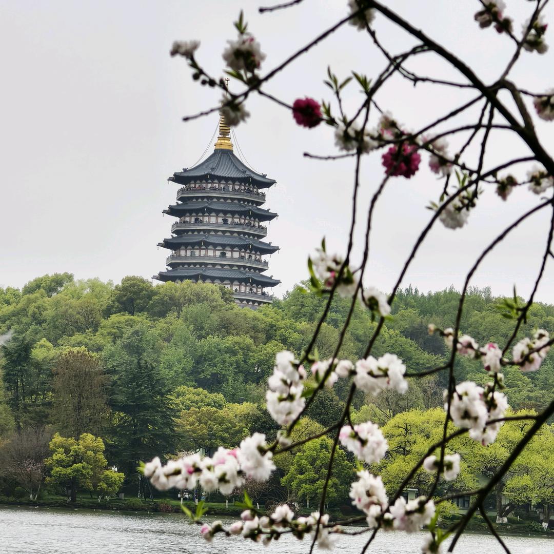 下渚湖渔之乐钓场