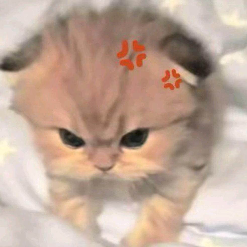 痕迹🐾