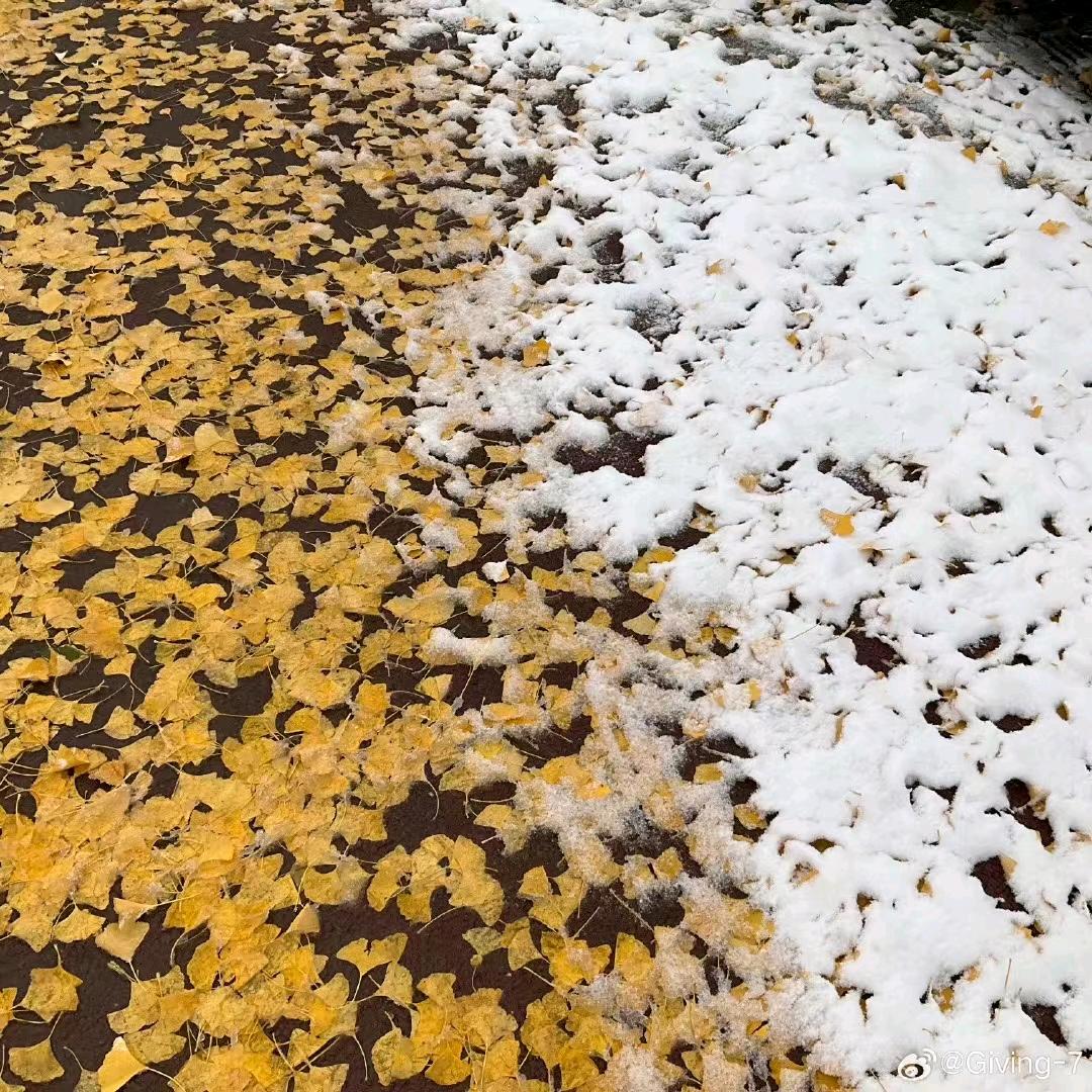 花开富贵7