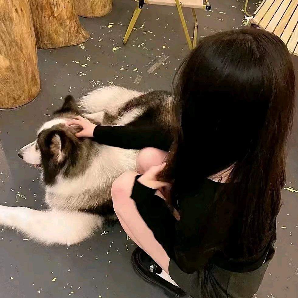 昕>-<