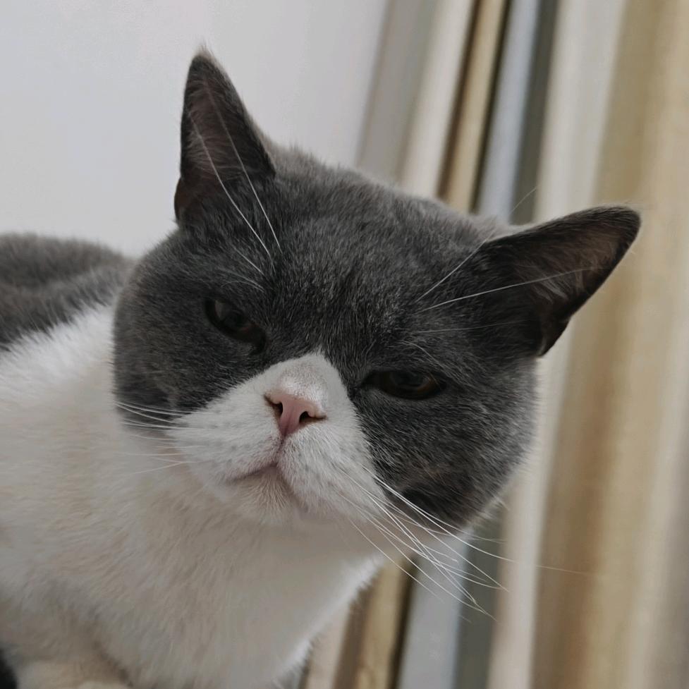 🐒单名一个玉🌻