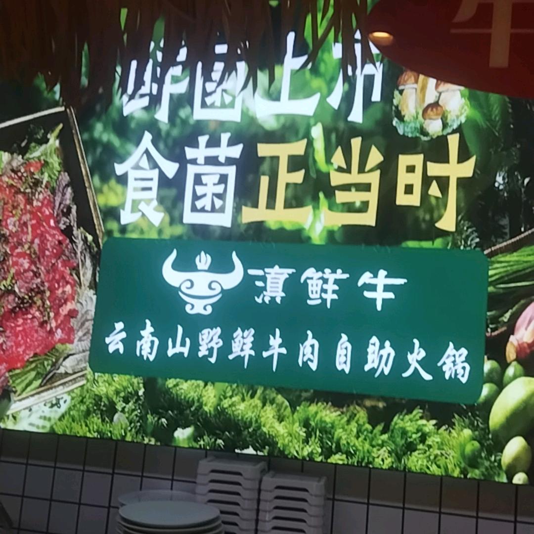 滇鲜牛云南山野菌鲜牛肉自助火锅