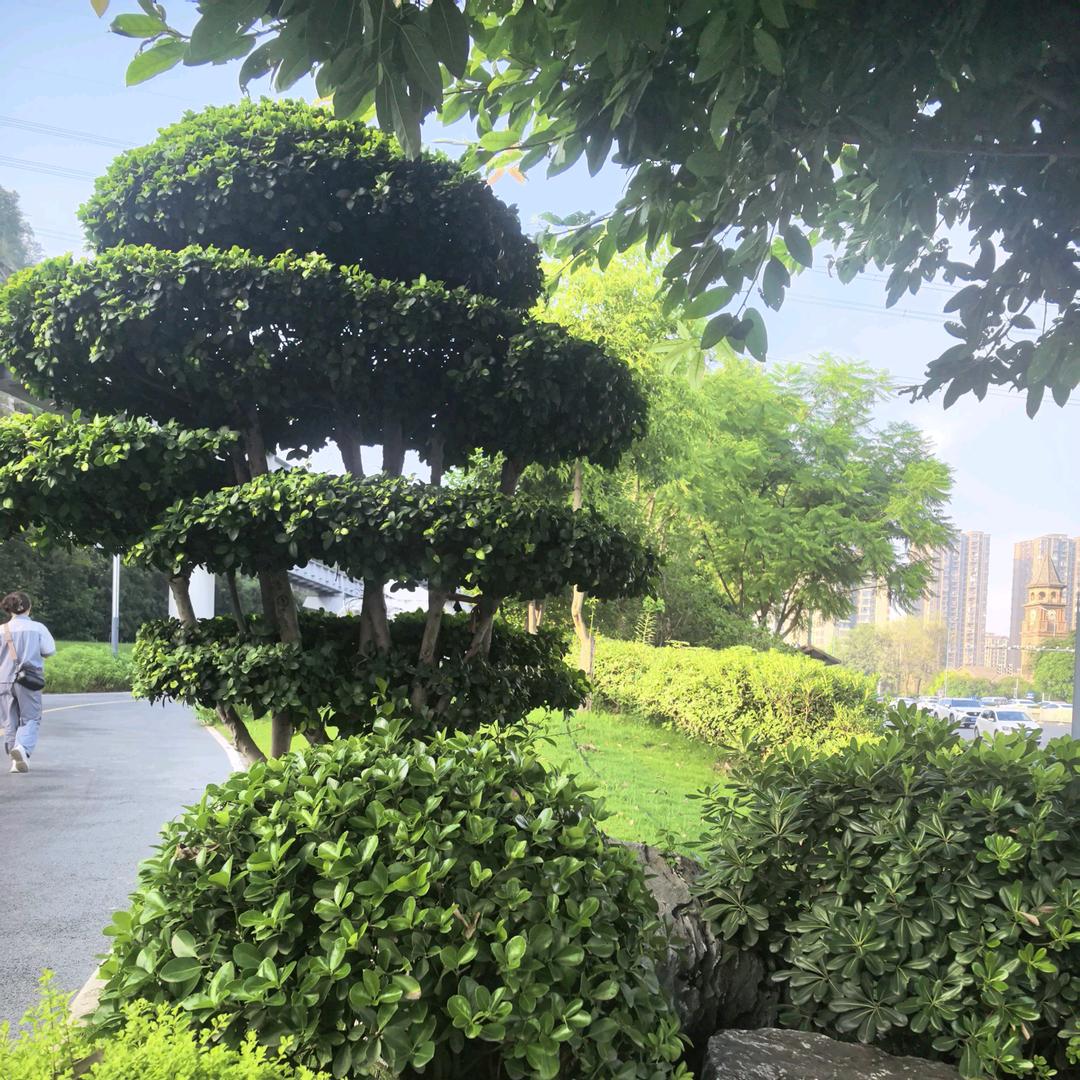 @༺ༀൢ回不去༒的过往ༀ༻