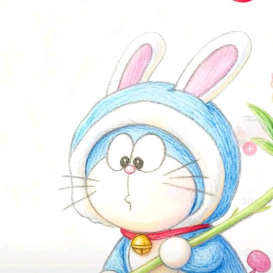 兔子🐰