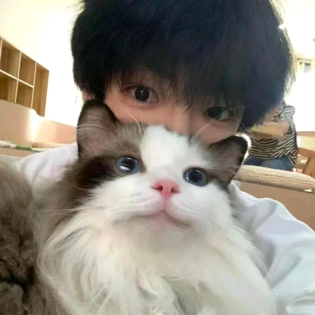 加兰惠
