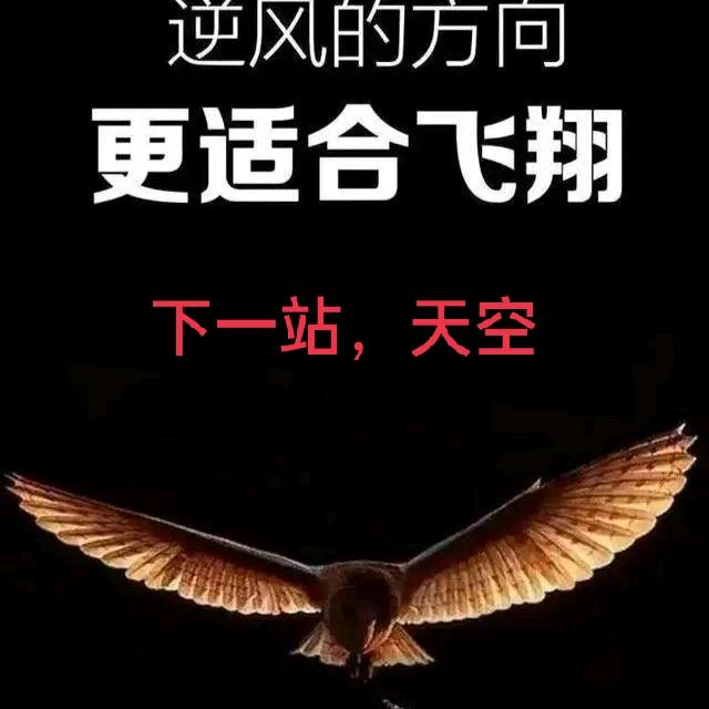 上岸下一站天空