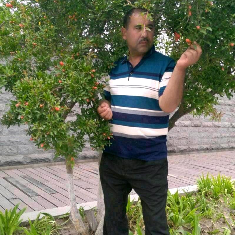 Qayan