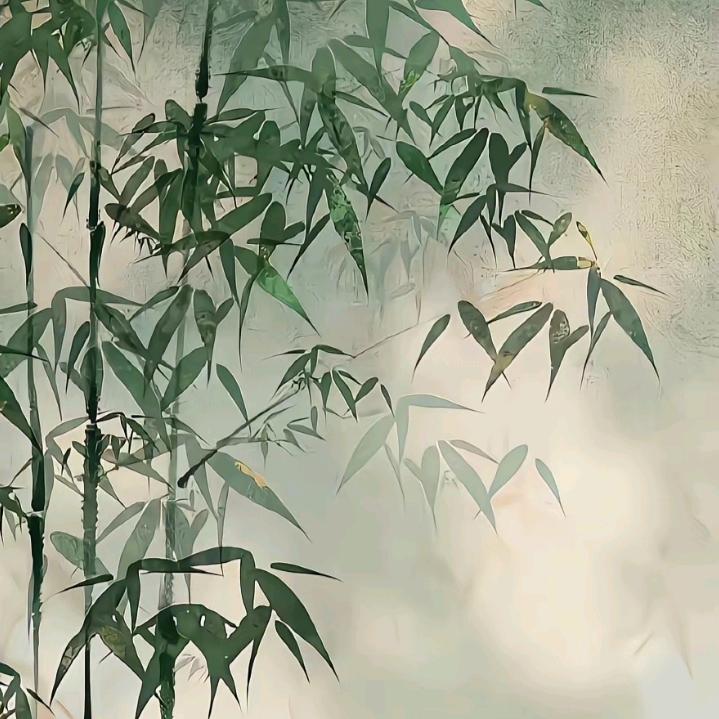 真的栓Q