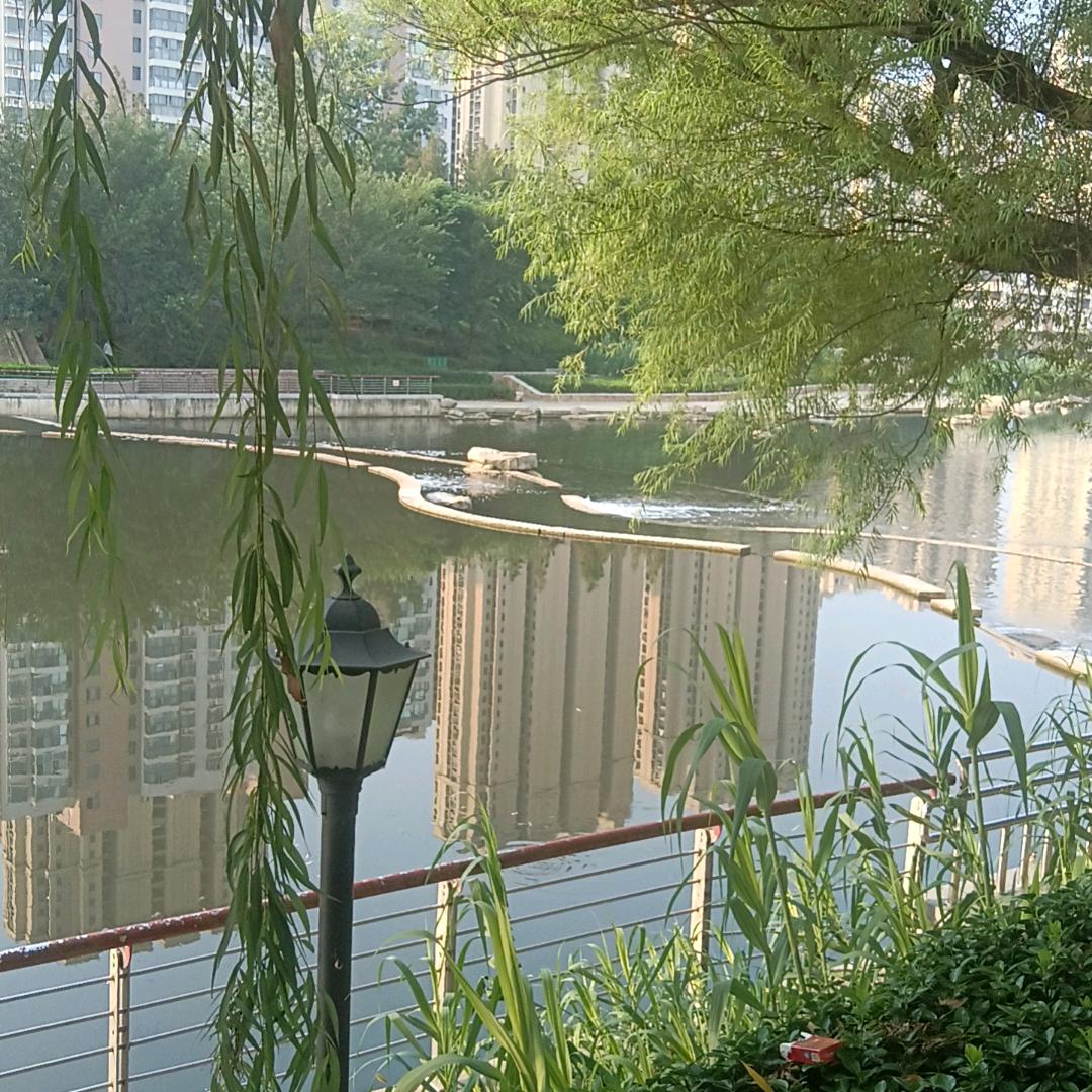 🎼静水🎼