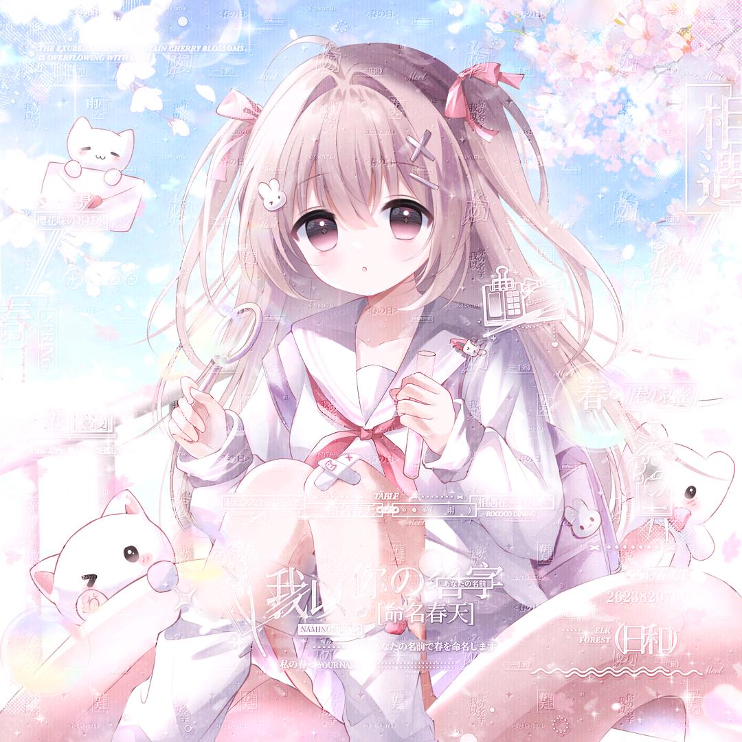毛球