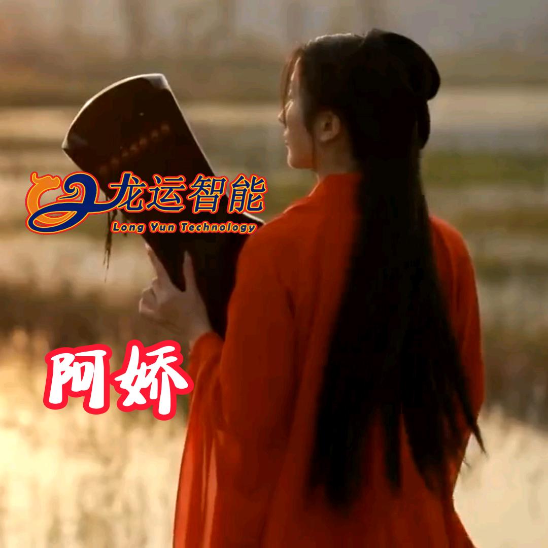 龙运智能生活电器专卖店阿娇