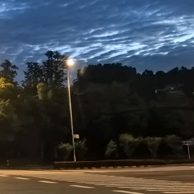 小树不修不直溜